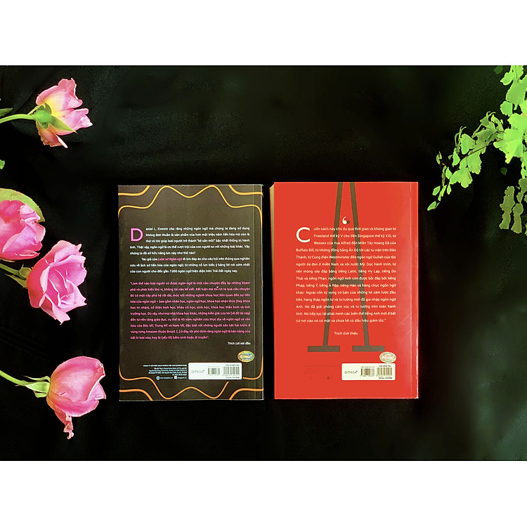 Cuộc Phiêu Lưu Của Ngôn Ngữ Anh - Ảnh 7