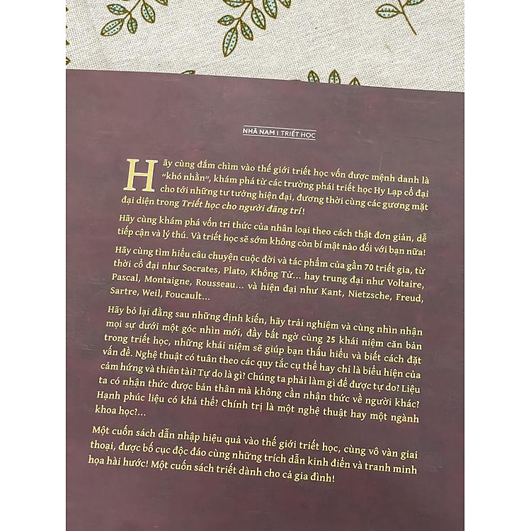 Triết học cho người đãng trí - Ảnh 5