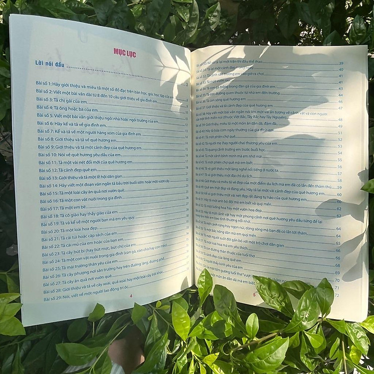 Tuyển Chọn Những Bài Văn Miêu Tả Lớp 3 - Ảnh 5