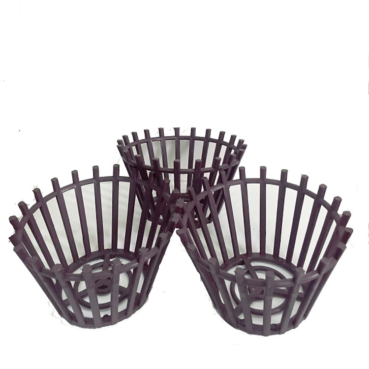 Bộ 3 chậu lan trồng hoa