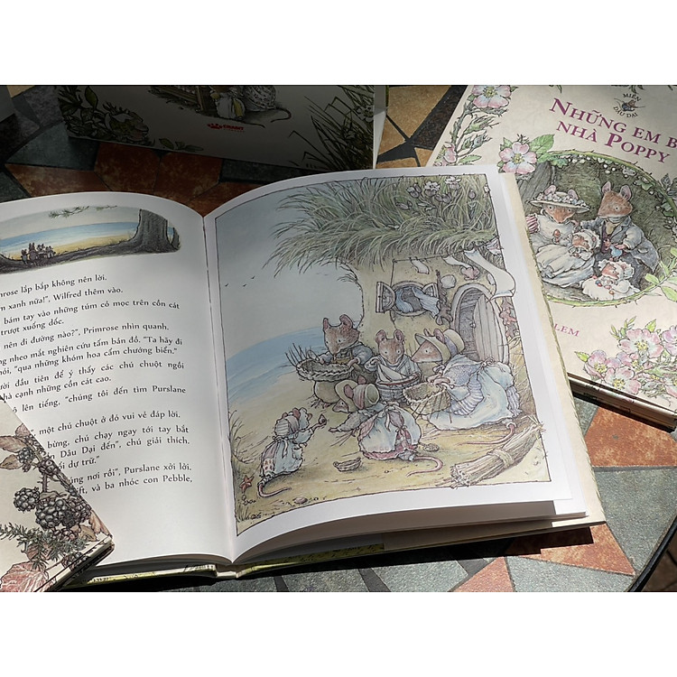 MIỀN DÂU DẠI – Chuyện bốn mùa - Ảnh 4