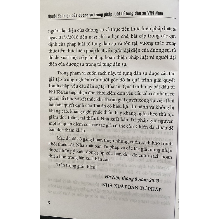 Người Đại Diện Của Dương Sự Trong Pháp Luật Tố Tụng Dân Sự Việt Nam - Ảnh 4