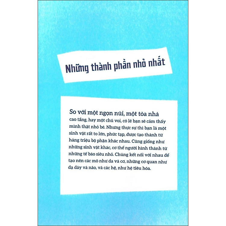 Cơ Thể Người - Trong 30 Giây - Ảnh 2