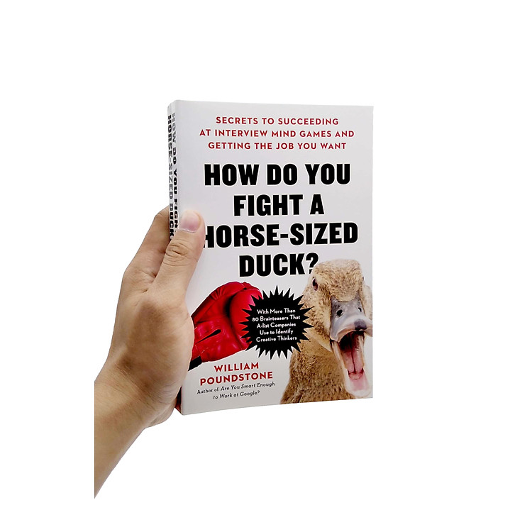How Do You Fight A Horse - Sized Duck? - Ảnh 5