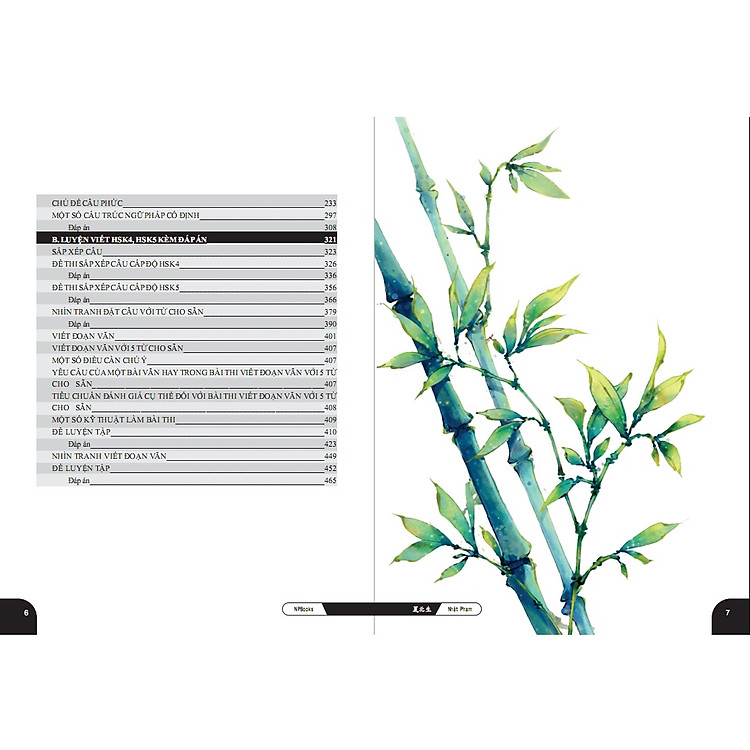 Bài Tập Củng Cố Cấu Ngữ Pháp HSK 4-5 - Ảnh 4