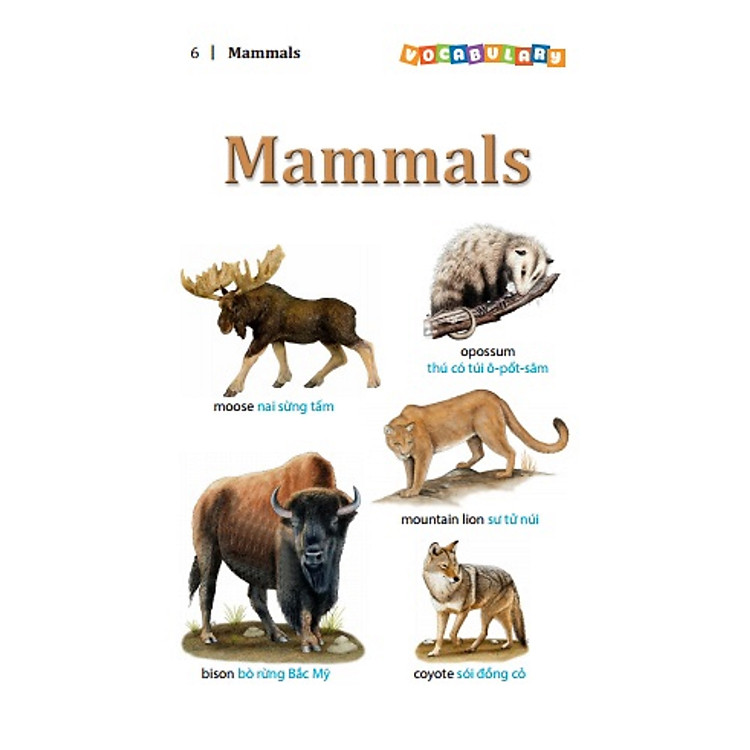 5.500 Từ Vựng Tiếng Anh Thông Dụng Nhất (Tái Bản 2020 - Màu) - Ảnh 3