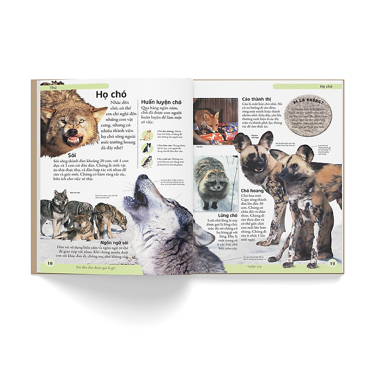 Sách Bách Khoa Động Vật - Mở Mang Kiến Thức, Khơi Dậy Tiềm Năng - Ảnh 3