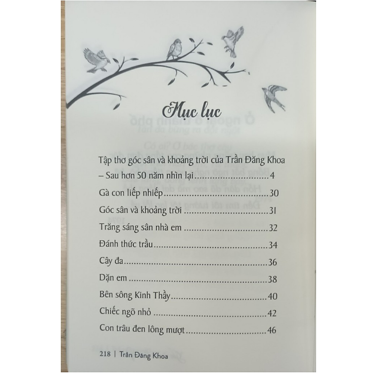 Góc sân và khoảng trời - Ảnh 2