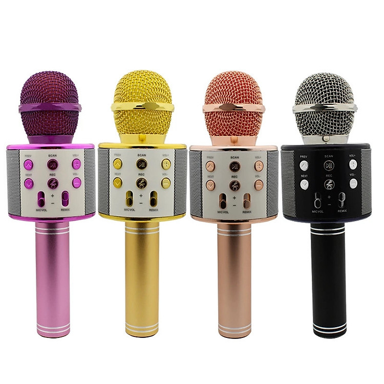 MICRO KÈM LOA BLUETOOTH WS-858 CÓ CỔNG OUT JACK 3.5 RA AMPLY, LOA LỚN