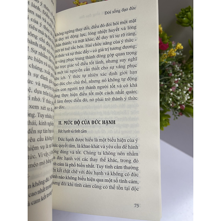 CÁC MỨC ĐỘ CỦA ĐỜI SỐNG ĐẠO ĐỨC – Ivan Gobry - Ảnh 2