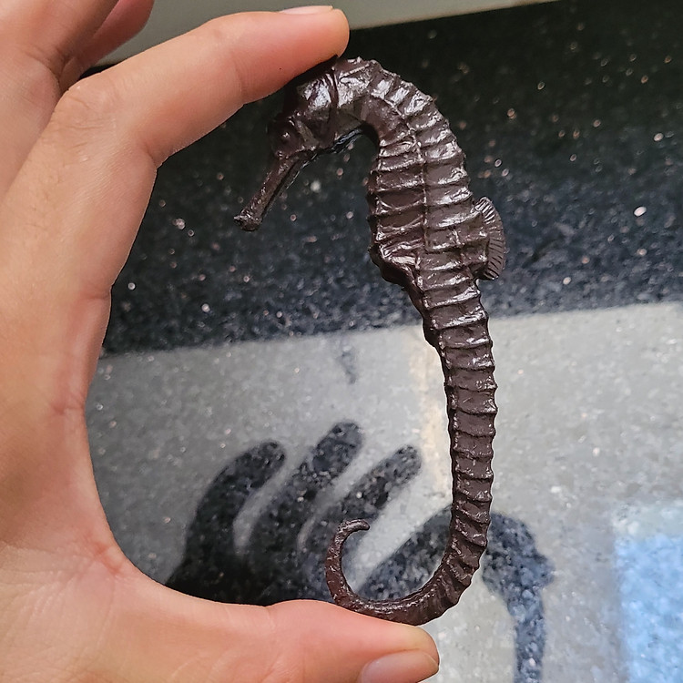 Mua Mô hình Cá Ngựa Hippocampus 11.5 cm Chính hãng Ưu đãi - Hình ảnh 4