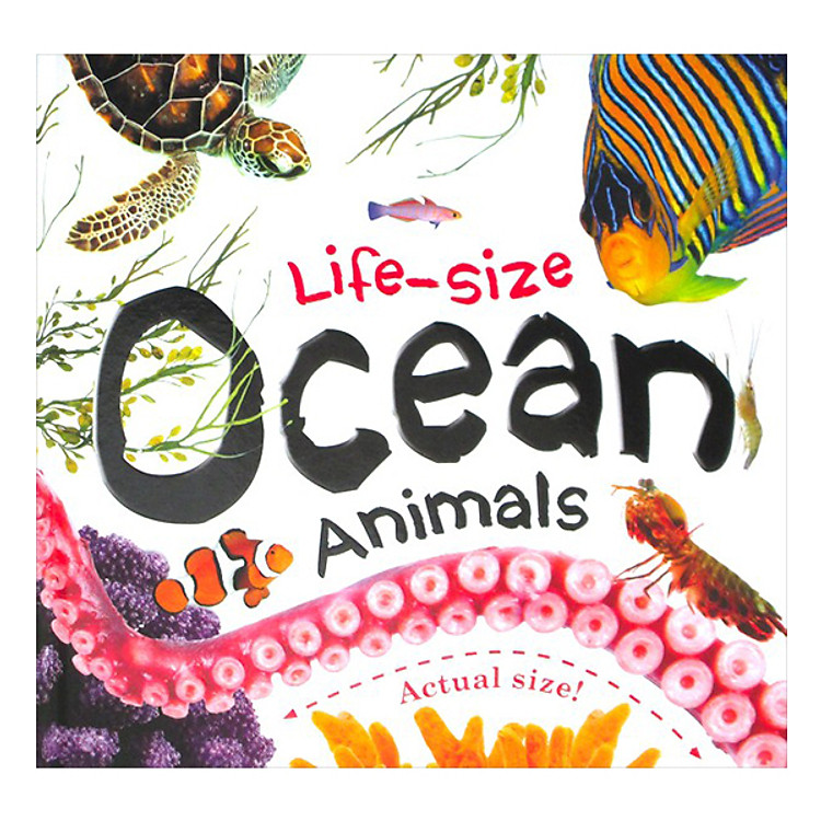 Sách Life-Size Ocean Animals