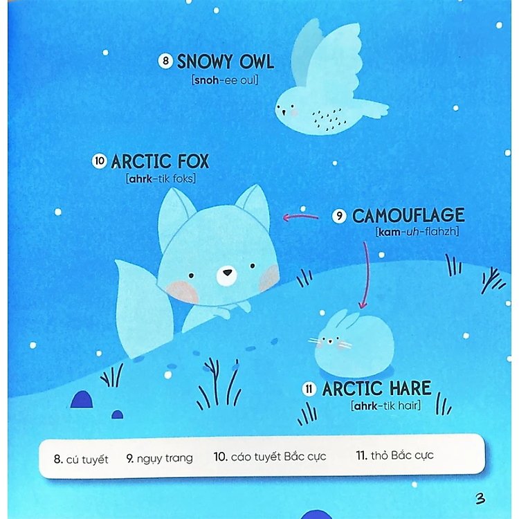 Steam Words: Animals - Từ Vựng Về Động Vật - Ảnh 5