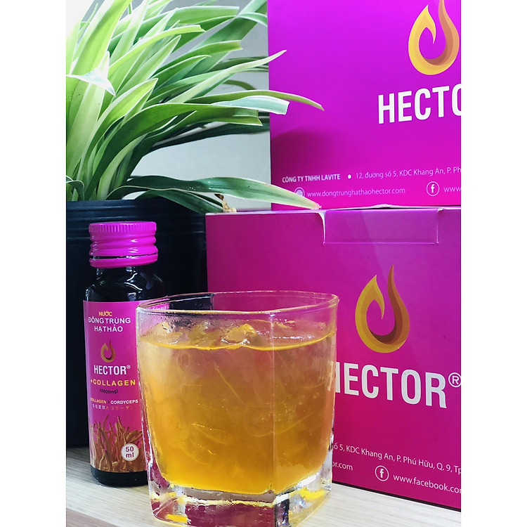 2 hộp 20 chai Đông Trùng Hạ Thảo HECTOR Collagen Trẻ hóa nhanh