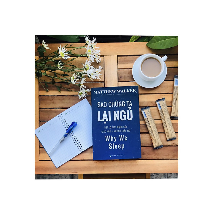 (Cuốn sách được Bill Gate khuyên đọc) SAO CHÚNG TA LẠI NGỦ – Matthew Walker – NXB Lao động – Hải Đăng