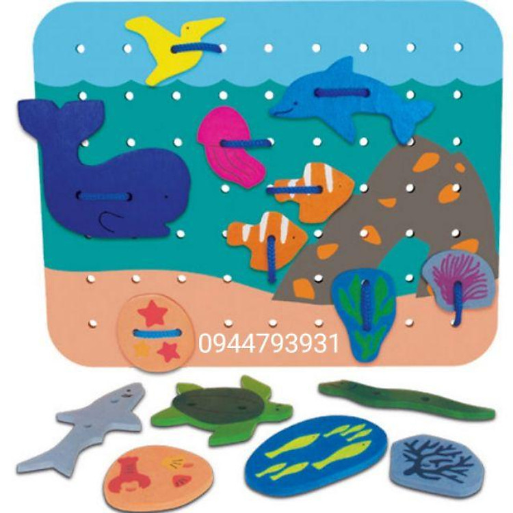 Bộ luồn dây đại dương