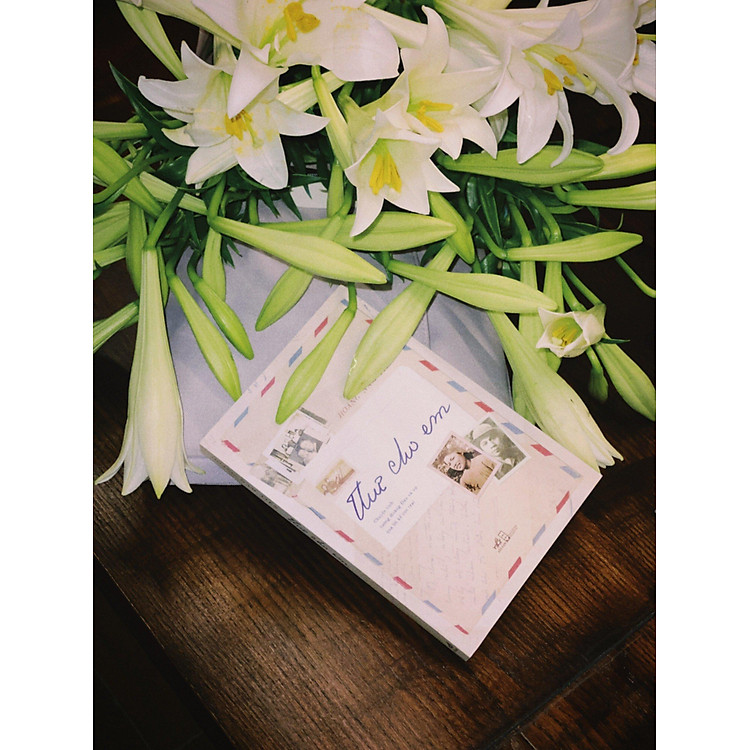 Thư Cho Em - Ảnh 4