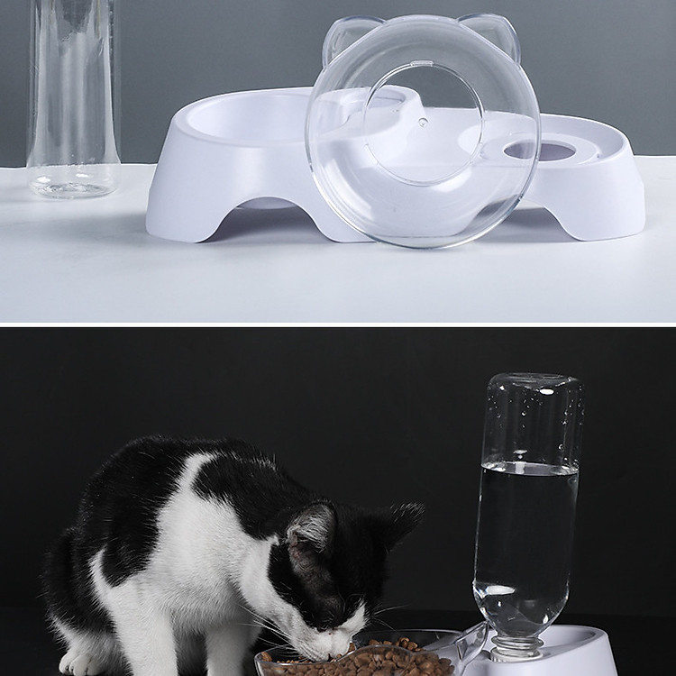 Bộ bát bình cho chó mèo