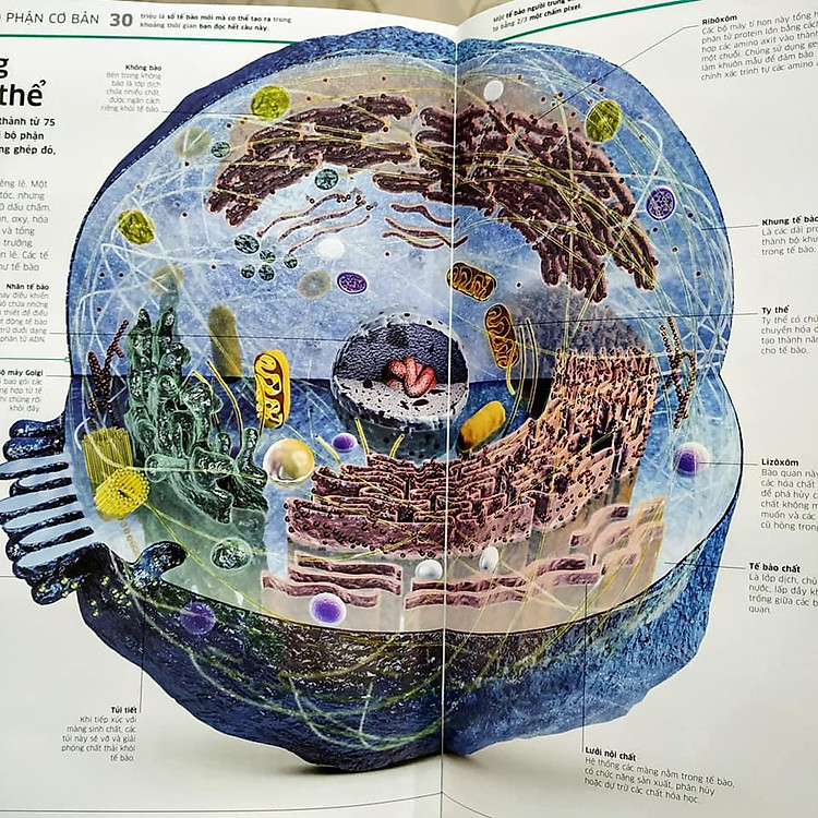 Tri thức về vạn vật - Ảnh 4