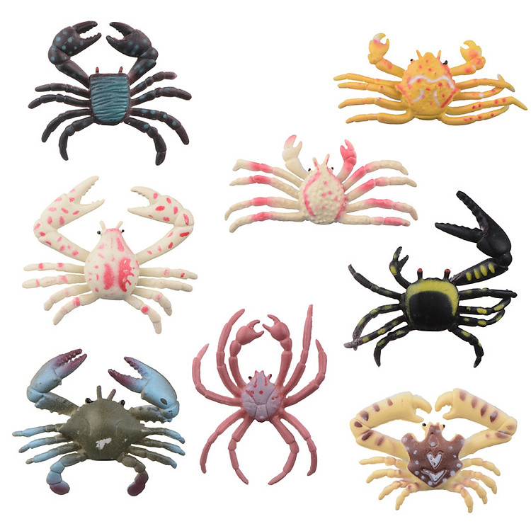 Bộ 8 đồ chơi cua giả cho bé Chính hãng Ưu đãi