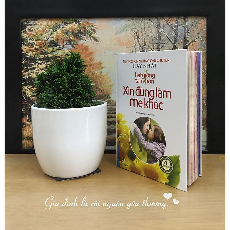 Xin đừng làm mẹ khóc - Ảnh 2