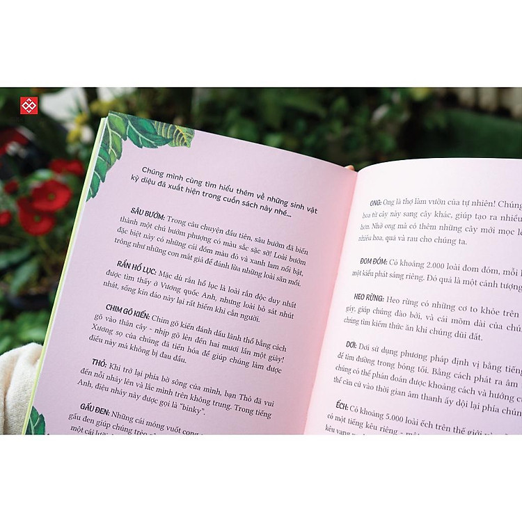 Thiên Nhiên Diệu Kỳ - Truyện Kể Cho Trẻ Từ 6 Tuổi - Ảnh 4