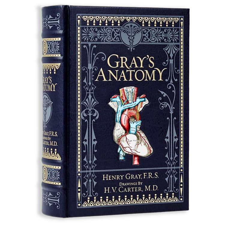 Gray’s Anatomy