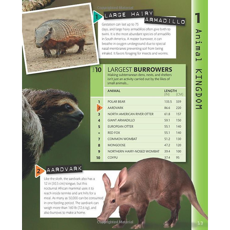 Top 10 of Everything 2018 - Ảnh 2