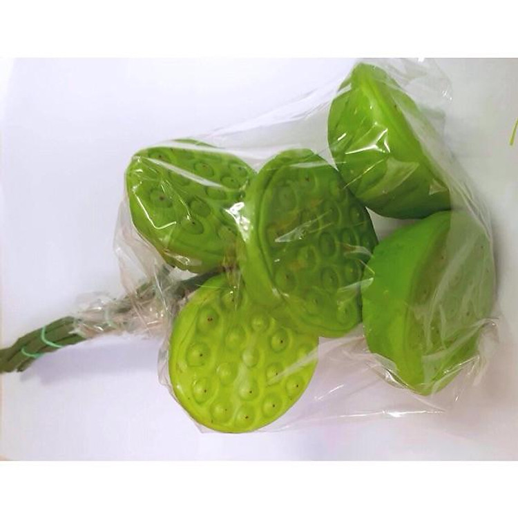 GƯƠNG SEN, ĐÀI SEN(5 cái)