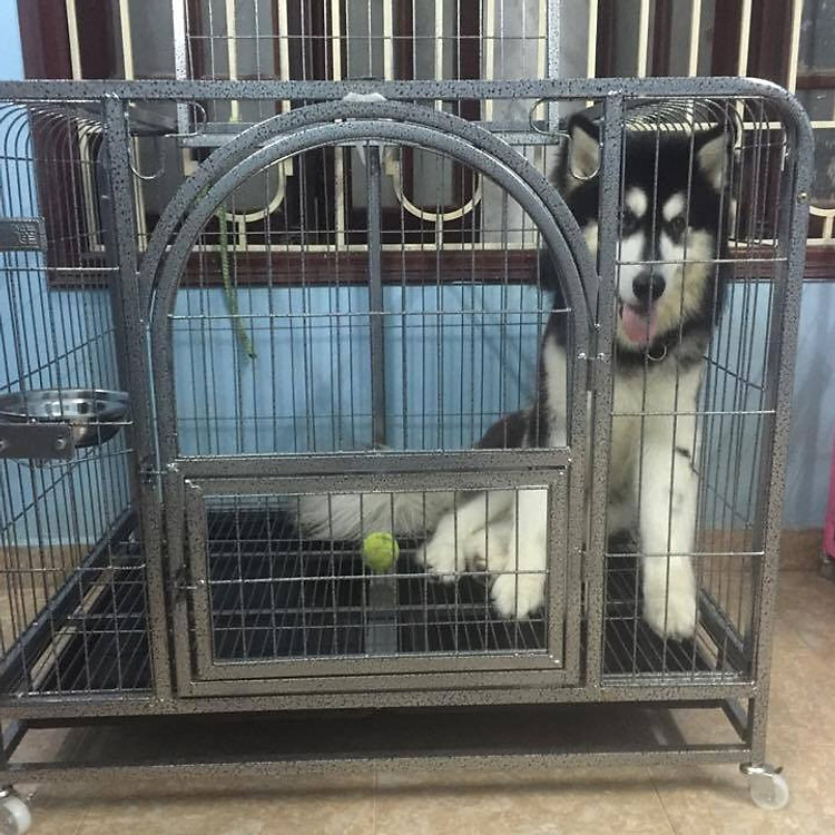 Lồng Có Bánh Xe Di Động