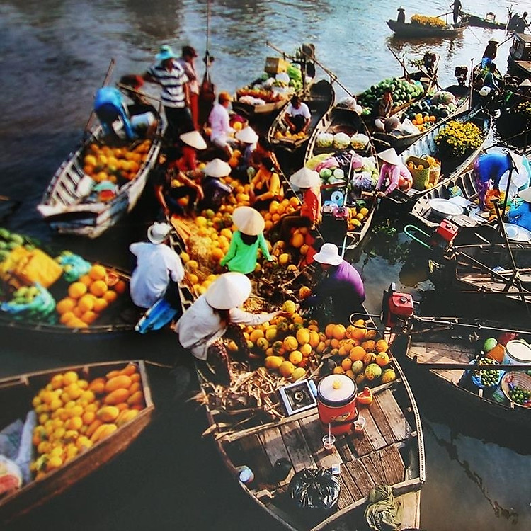 Tour Tiết Kiệm - Miền Tây 2N1Đ: Mỹ Tho - Bến Tre - Cần Thơ, Nghỉ KS 3 Sao, Khởi Hành Hàng Ngày & Dịp Lễ