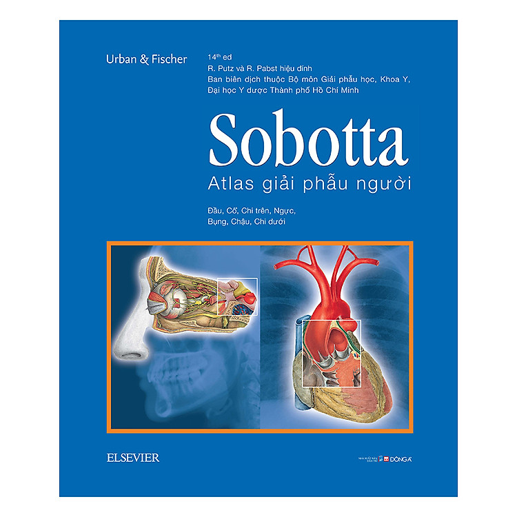 Sách Sobotta Atlas Giải Phẫu Người