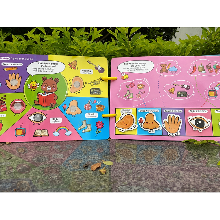 Học Liệu Montessori Song Ngữ Beezi Chính hãng Tiết kiệm - Hình ảnh 5