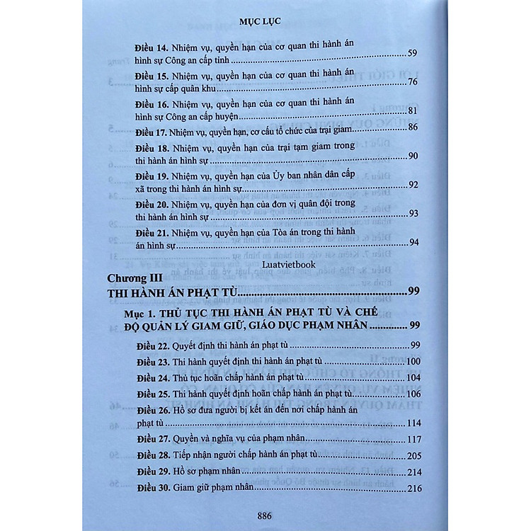 Bình luận luật thi hành án hình sự năm 2019 - Ảnh 2