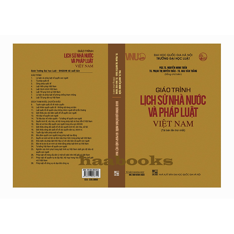 Giáo trình lịch sử nhà nước và pháp luật Việt Nam - Ảnh 2