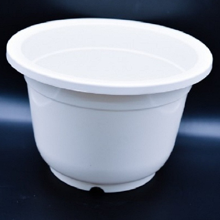 Chậu trồng cây, trồng hoa nhựa giả sứ A600