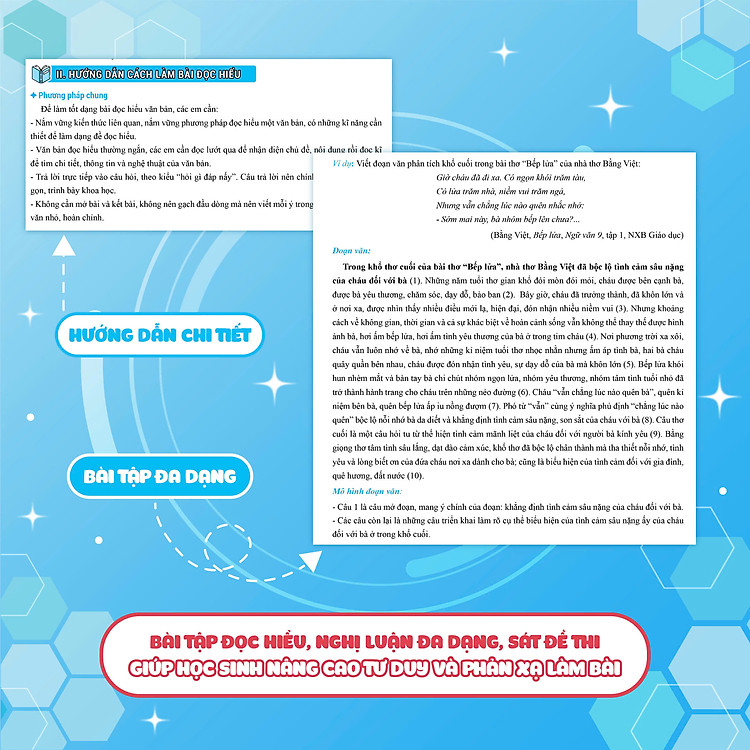 Chinh phục 8+ luyện thi vào lớp 10 môn Ngữ Văn theo chủ đề - Ảnh 2