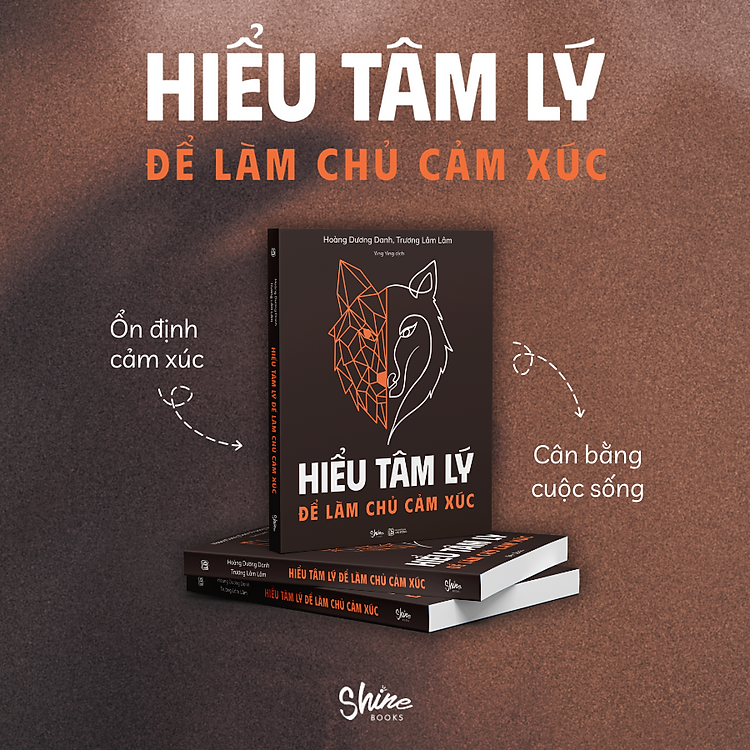 Hiểu Tâm Lý Để Làm Chủ Cảm Xúc - Ảnh 3