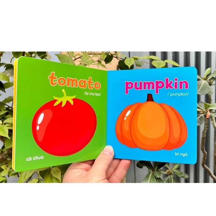 Baby First Picture Book - Song Ngữ Anh Việt - Ảnh 7