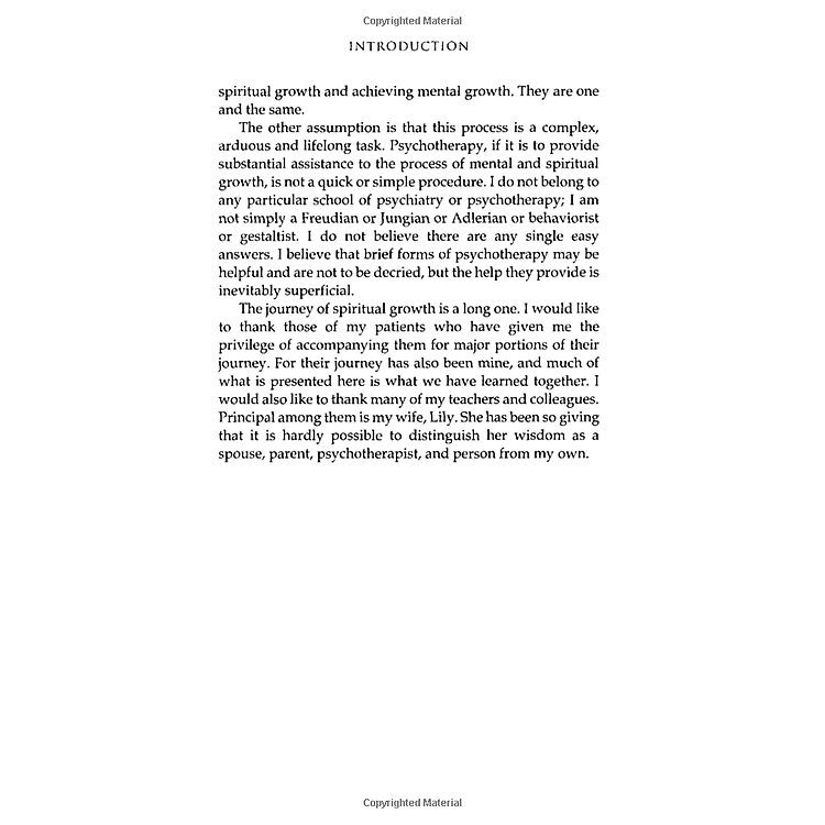 The Road Less Travelled - Ảnh 4