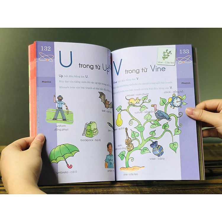 Braint Quest WorkBook K (5 - 6 tuổi) - Ảnh 5