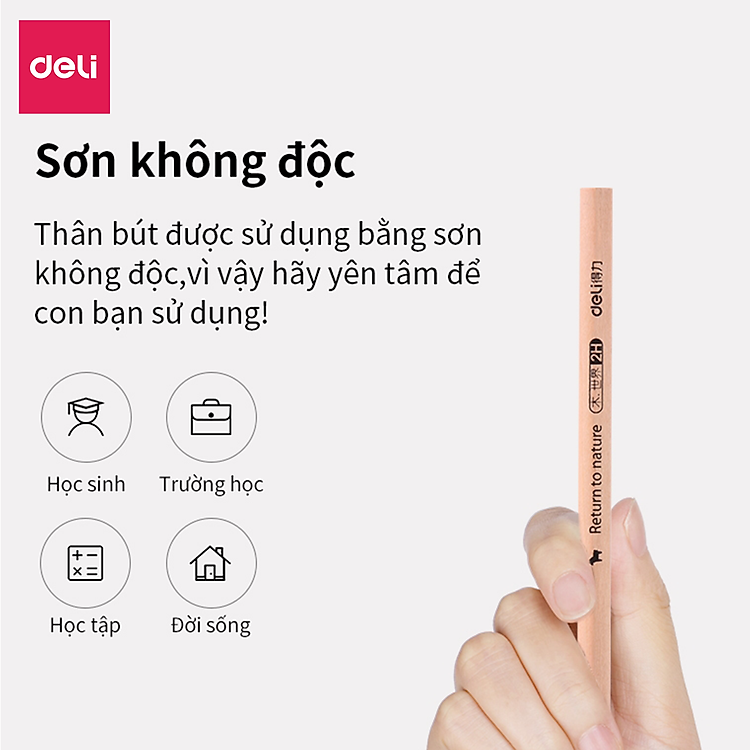 Bút Chì Lục Giác Deli 2B (30 chiếc) - Ảnh 5