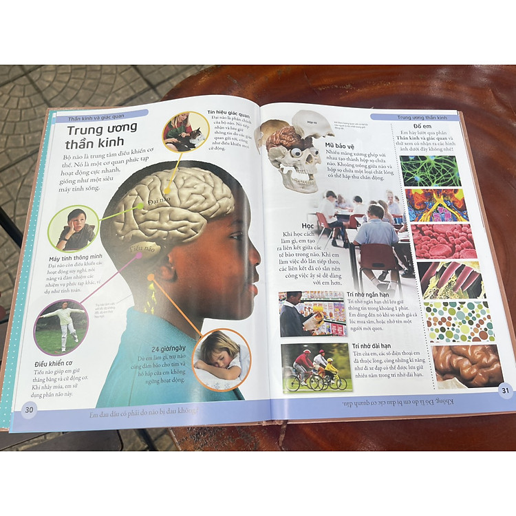 Bách Khoa Cơ Thể Người - Ảnh 3