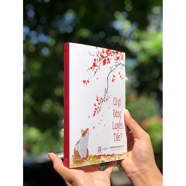 Có Gì Đáng Luyến Tiếc - Tôn Giáo, Nghệ Thuật Và Văn Hóa - Ảnh 6