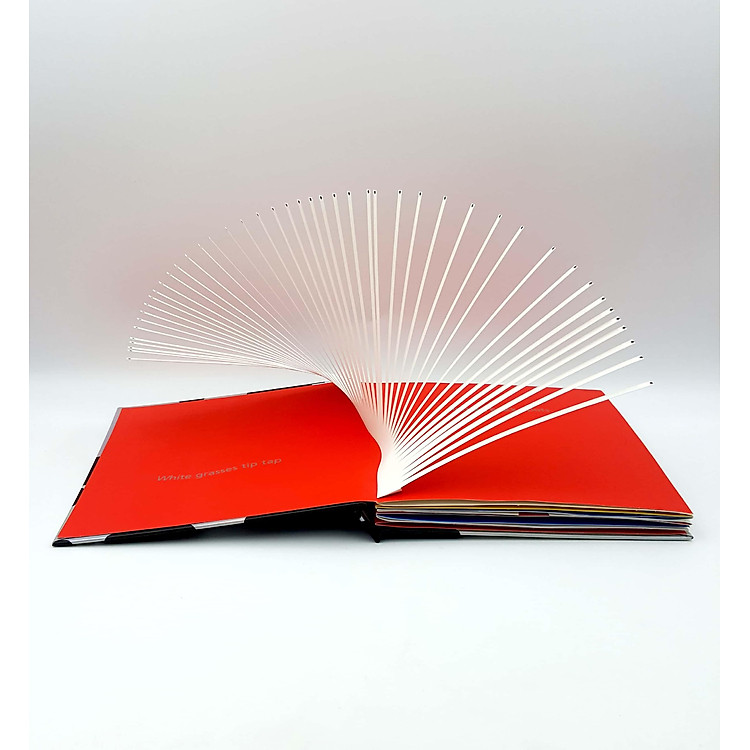 600 Black Spots - Ảnh 4