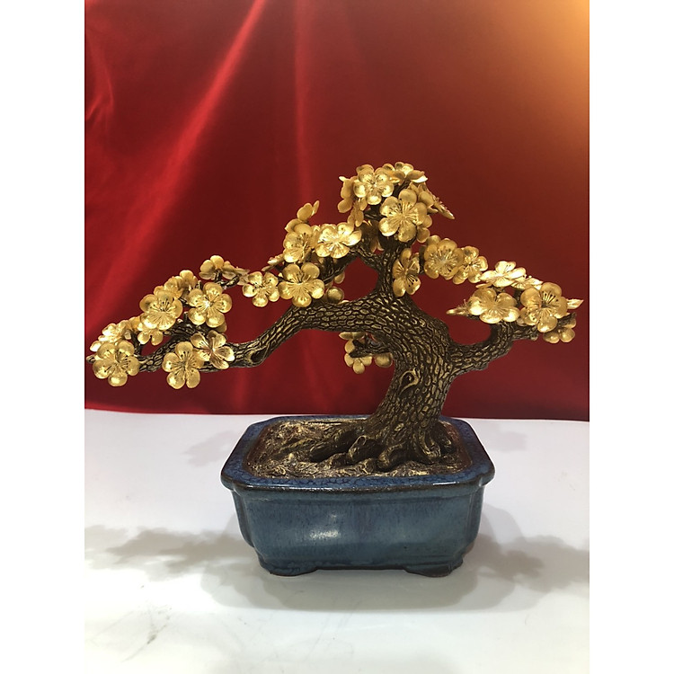 Cây mai mạ vàng 24k,quà tặng đẳng cấp tết 2021