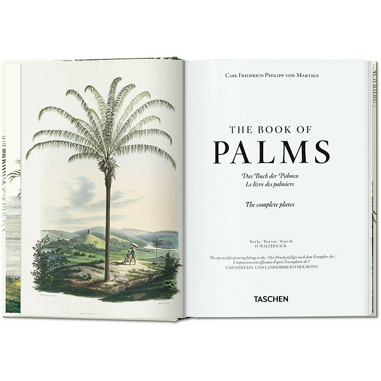 The Book of Palms. 40th Ed - Ảnh 2