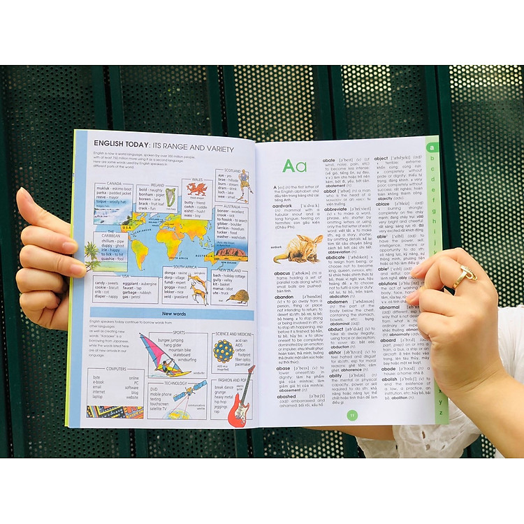 Từ Điển Anh Việt - Minh Họa Hình Ảnh - Ảnh 3