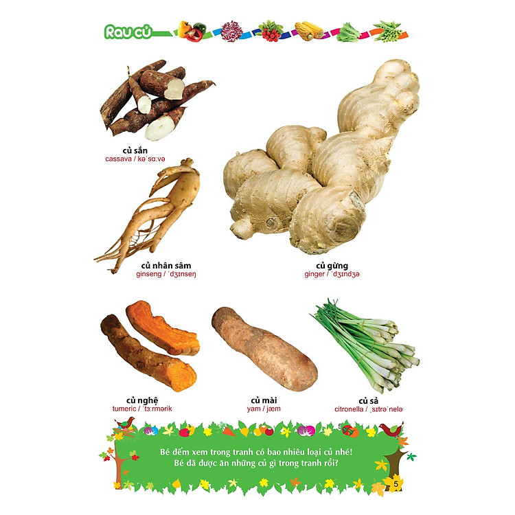 Từ Điển Tranh Về Rau - Củ - Quả - Hoa - Ảnh 4