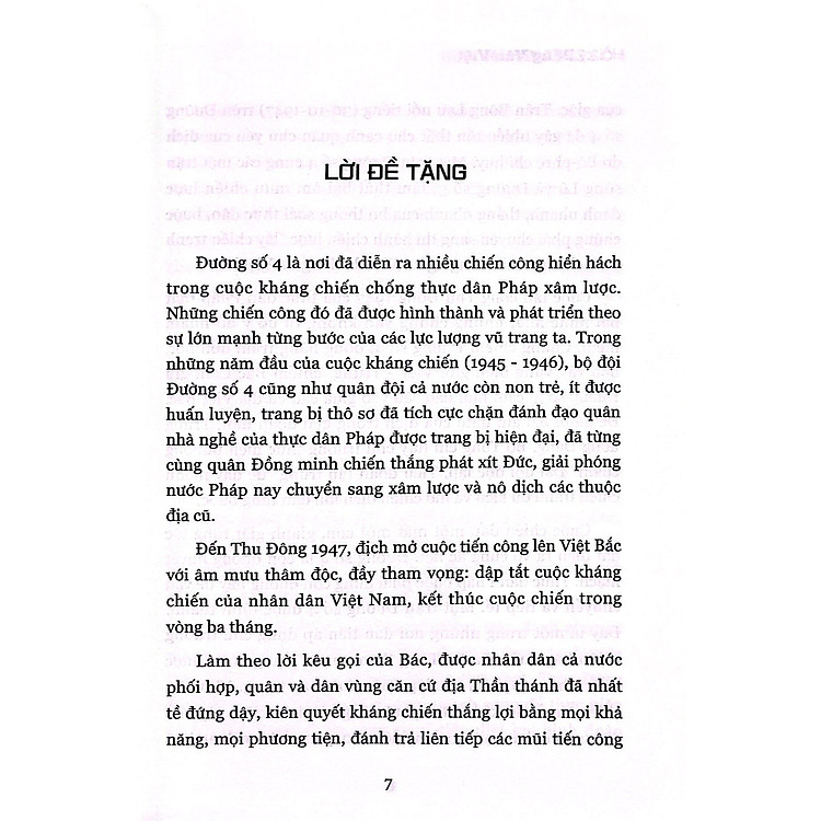 Hồi Ký Đặng Văn Việt - Hùm Xám Đường Số 4 - Ảnh 3